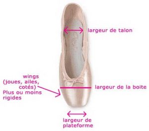 differentes_parties_d_une_pointe