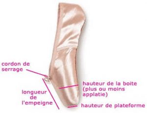 differentes_parties_d_une_pointe_vue_de_profil